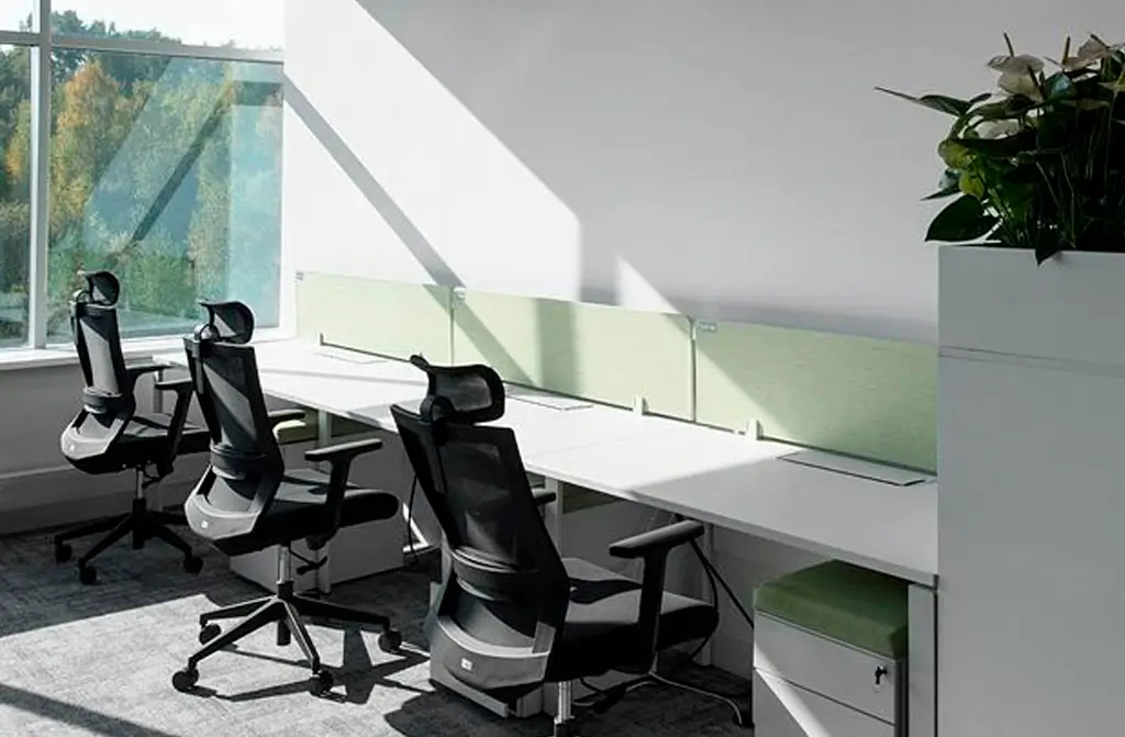 Oficina moderna con escritorios y sillas ergonómicas junto a ventanales. Luz natural y plantas decorativas.