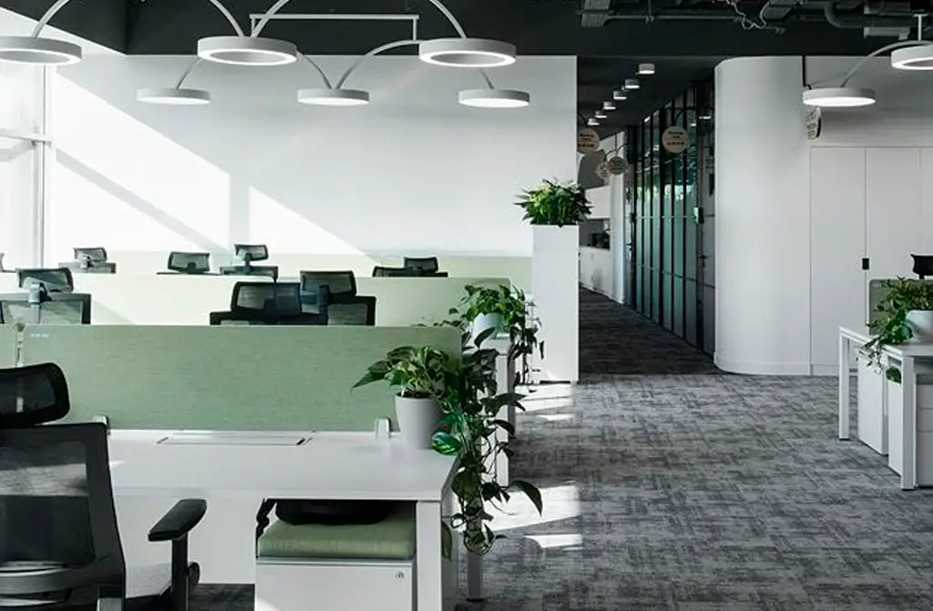 Oficina moderna con escritorios blancos, sillas negras y plantas decorativas, iluminada por luces colgantes circulares.