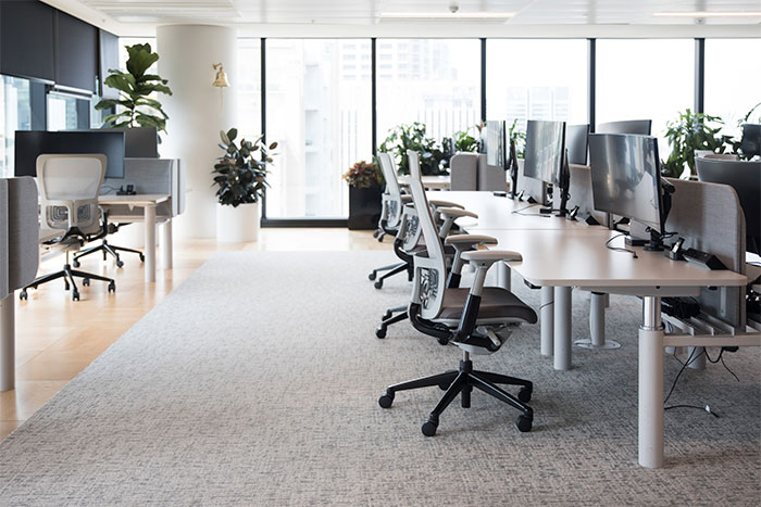 Oficina moderna y luminosa con escritorios, sillas ergonómicas y plantas decorativas en el fondo.
