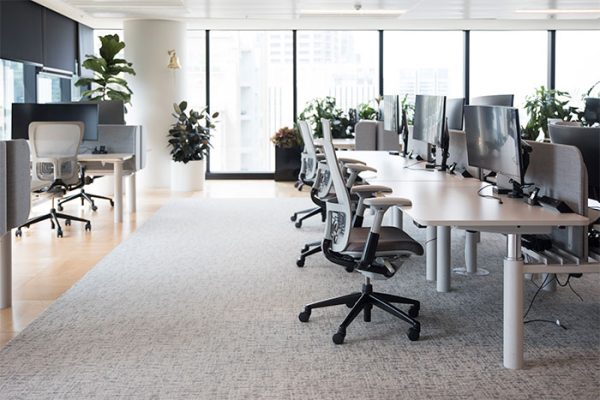 Oficina moderna y luminosa con escritorios, sillas ergonómicas y plantas decorativas en el fondo.