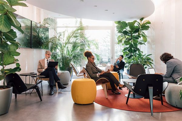 Oficina moderna con personas trabajando en dispositivos; ambiente verde y acogedor con plantas decorativas.